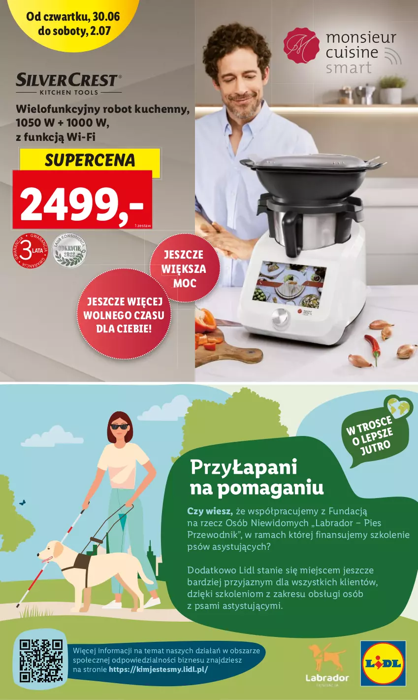 Gazetka promocyjna Lidl - GAZETKA - ważna 30.06 do 02.07.2022 - strona 48 - produkty: Przewodnik, Rama, Robot