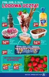 Gazetka promocyjna Aldi - Pełen katalog - Gazetka - ważna od 10.06 do 10.06.2023 - strona 17 - produkty: Sos, Wafle do lodów, Wafle, Lody, Maliny, Rurki, Fanta, Mięta, Fa