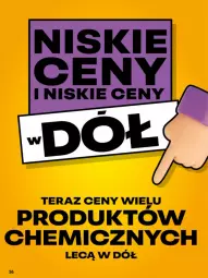 Gazetka promocyjna Delikatesy Centrum - Franczyza DC28 Poniedziałek - Gazetka - ważna od 13.07 do 13.07.2025 - strona 36 - produkty: Tera