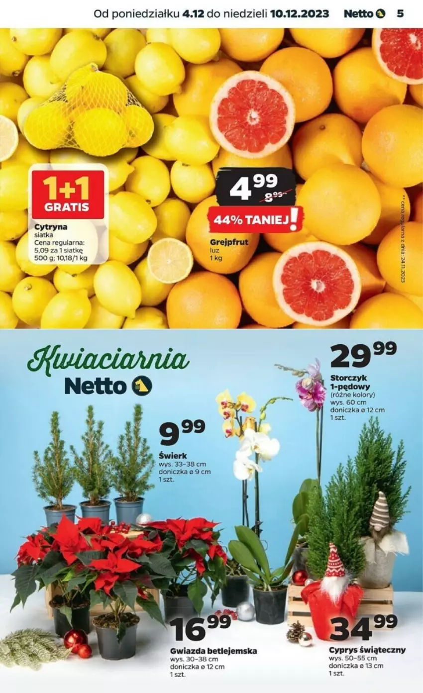 Gazetka promocyjna Netto - ważna 04.12 do 10.12.2023 - strona 21 - produkty: Gwiazda, Siatka, Storczyk