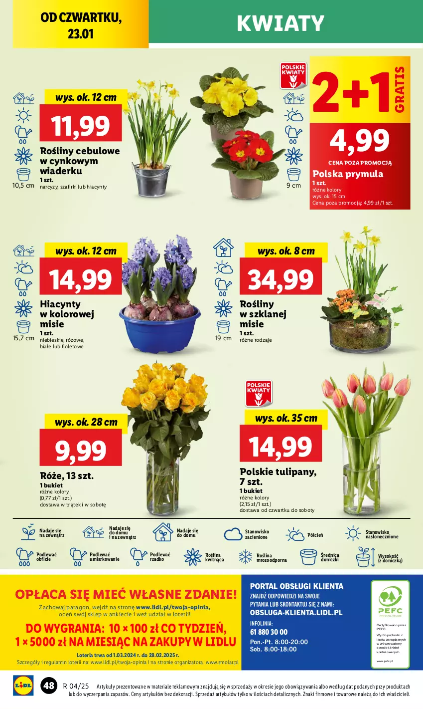 Gazetka promocyjna Lidl - GAZETKA - ważna 23.01 do 26.01.2025 - strona 50 - produkty: Bukiet, Cień, Cynk, Gra, Hiacynt, Mola, Narcyz, O nas, Por, Prymula, Sok, Tulipan