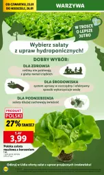 Gazetka promocyjna Lidl - GAZETKA - Gazetka - ważna od 26.01 do 26.01.2025 - strona 18 - produkty: Warzywa, Sałata masłowa, Sałat, Masło