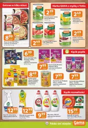 Gazetka promocyjna Gama - Gazetka Gama - Gazetka - ważna od 24.03 do 24.03.2026 - strona 9 - produkty: Odkamieniacz, Ser, Cif, Whiskas, Kukurydza konserwowa, Vizir, Pizza, Fasola, Mleczko, Fanta, Fairy, Felix, Kapsułki do prania, Pomidory, Pedigree, Groszek, Kukurydza, Hortex, Fa