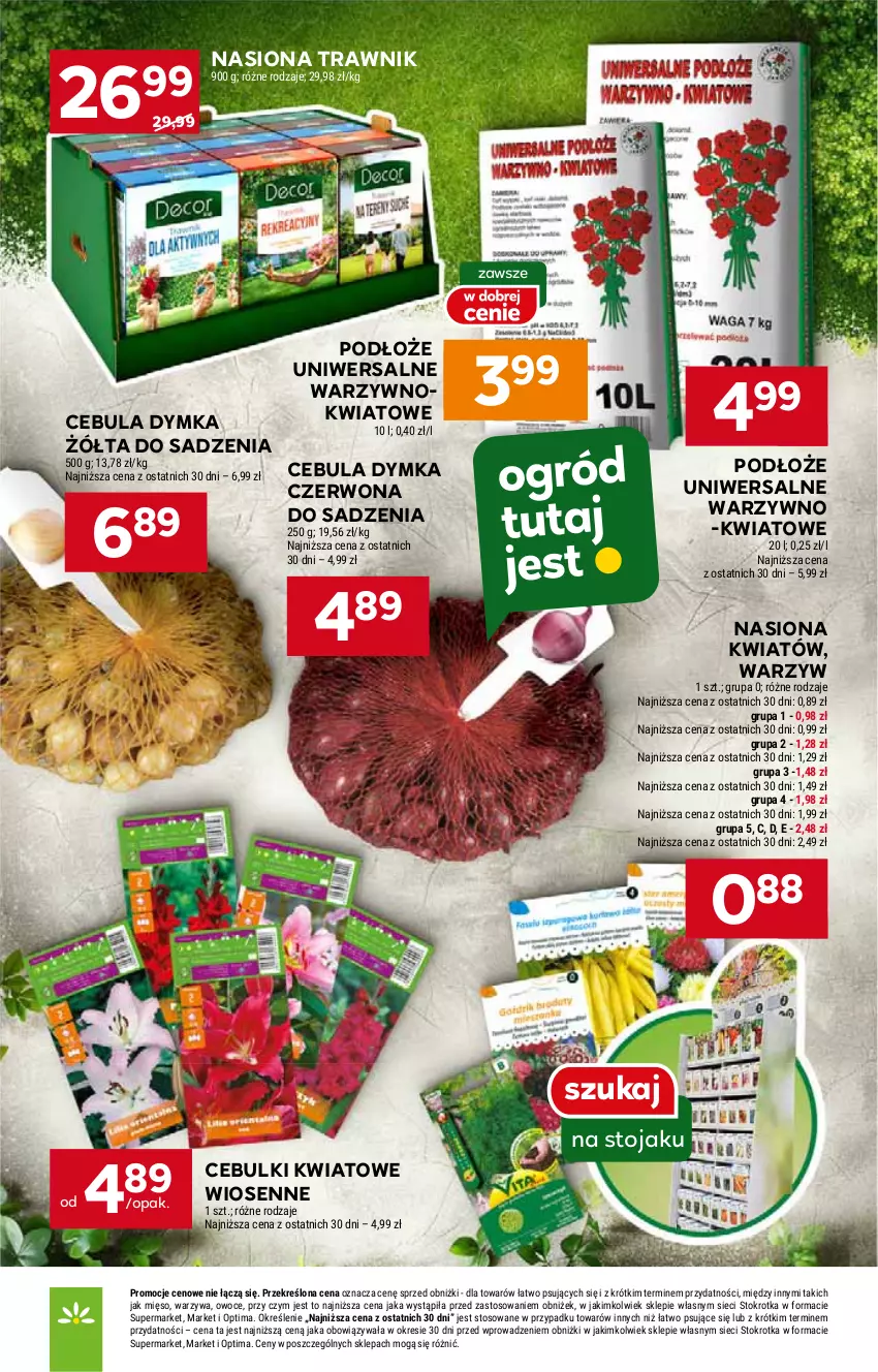 Gazetka promocyjna Stokrotka - Market - ważna 19.02 do 25.02.2026 - strona 20 - produkty: Cebula, HP, Stojak