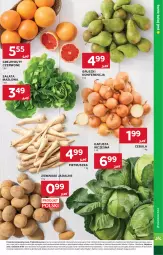 Gazetka promocyjna Stokrotka - Market - Gazetka - ważna od 25.02 do 25.02.2026 - strona 9 - produkty: Cebula, Warzywa, Sałata masłowa, Pietruszka, Ziemniaki, Sałat, Optima, Gruszki, Owoce, Masło, Mięso, Grejpfrut