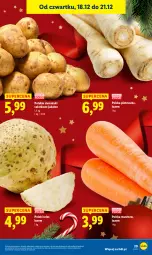 Gazetka promocyjna Lidl - GAZETKA - Gazetka - ważna od 21.12 do 21.12.2025 - strona 29 - produkty: Pietruszka, Ziemniaki, Sałat
