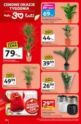 Gazetka promocyjna Auchan - Gazetka 30 Lat Hipermarket Auchan - Gazetka - ważna od 25.02 do 25.02.2026 - strona 36 - produkty: Laur, Osłonka
