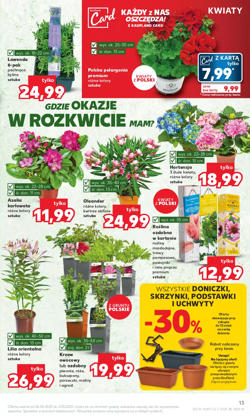 Gazetka promocyjna Kaufland - Gazetka tygodnia - ważna 26.04 do 02.05.2023 - strona 13 - produkty: Gres, Grunt, Maliny, Piwo, Por, Uchwyty, Waga