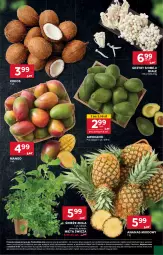 Gazetka promocyjna Stokrotka - Supermarket Opole/Radom - Gazetka - ważna od 29.01 do 29.01.2025 - strona 15 - produkty: Grzyby, Ananas, Mango, Mięta, Kokos, HP