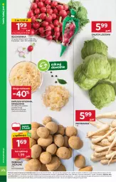 Gazetka promocyjna Stokrotka - Supermarket Opole/Radom - Gazetka - ważna od 29.01 do 29.01.2025 - strona 8 - produkty: Pietruszka, Sałata lodowa, Ziemniaki, Sałat, Rzodkiewka, HP