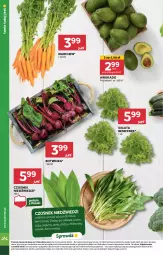 Gazetka promocyjna Stokrotka - Supermarket - Gazetka - ważna od 17.04 do 17.04.2024 - strona 6 - produkty: Warzywa, Inka, Czosnek, Sałat, Owoce, Renifer, Mięso