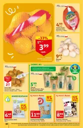 Gazetka promocyjna Auchan - Gazetka Rewelacyjne Marki Auchan Hipermarket Auchan - Gazetka - ważna od 01.02 do 01.02.2023 - strona 16 - produkty: Pistacje, Cebula, Cebula szalotka, Kolendra, Szal, O nas, Bazyl, Bazylia, Mięta