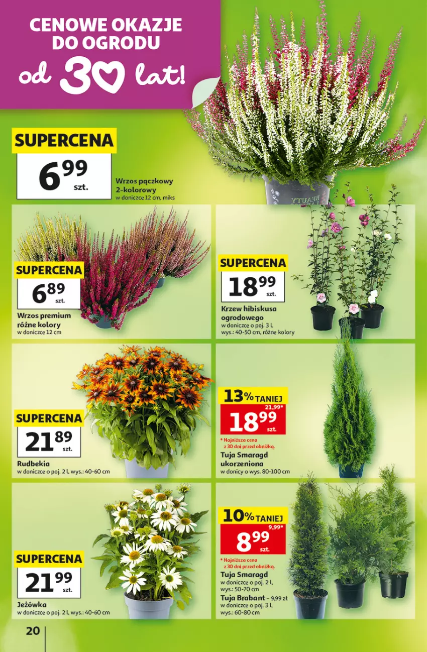Gazetka promocyjna Auchan - Gazetka 30 Lat Hipermarket Auchan - ważna 27.08 do 02.09.2026 - strona 20 - produkty: Hibiskus