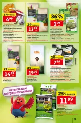 Gazetka promocyjna Auchan - Gazetka 30 Lat Hipermarket Auchan - Gazetka - ważna od 02.09 do 02.09.2026 - strona 21 - produkty: Cebula, Kora ogrodowa, Czosnek, Kiełki, Harnaś