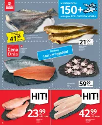 Gazetka promocyjna Selgros - Oferta spożywcza - Gazetka - ważna od 01.03 do 01.03.2023 - strona 6 - produkty: Karmazyn tusza, Halibut, Tusz, Mintaj