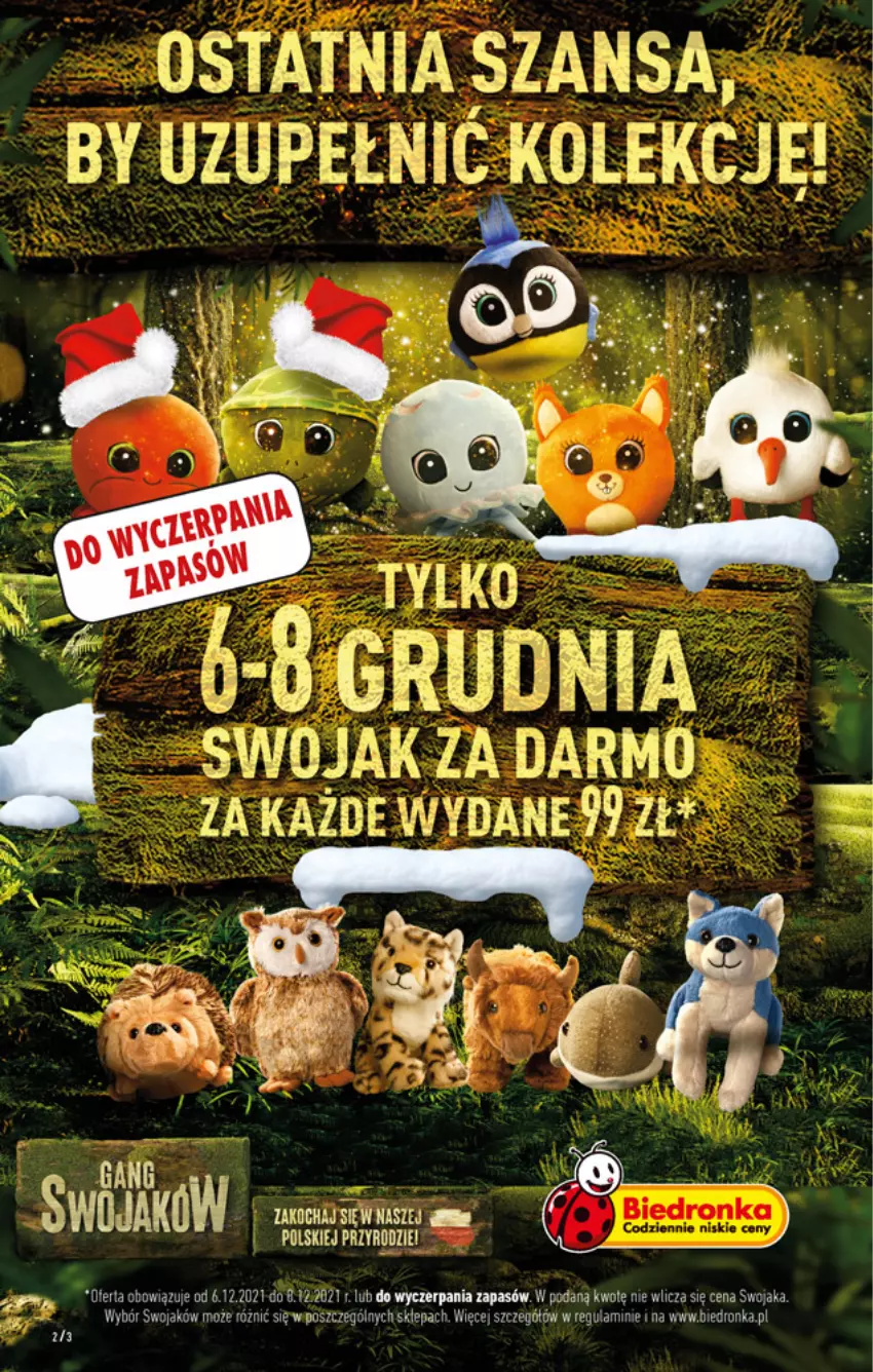 Gazetka promocyjna Biedronka - W tym tygodniu - ważna 06.12 do 12.12.2021 - strona 2 - produkty: Dron