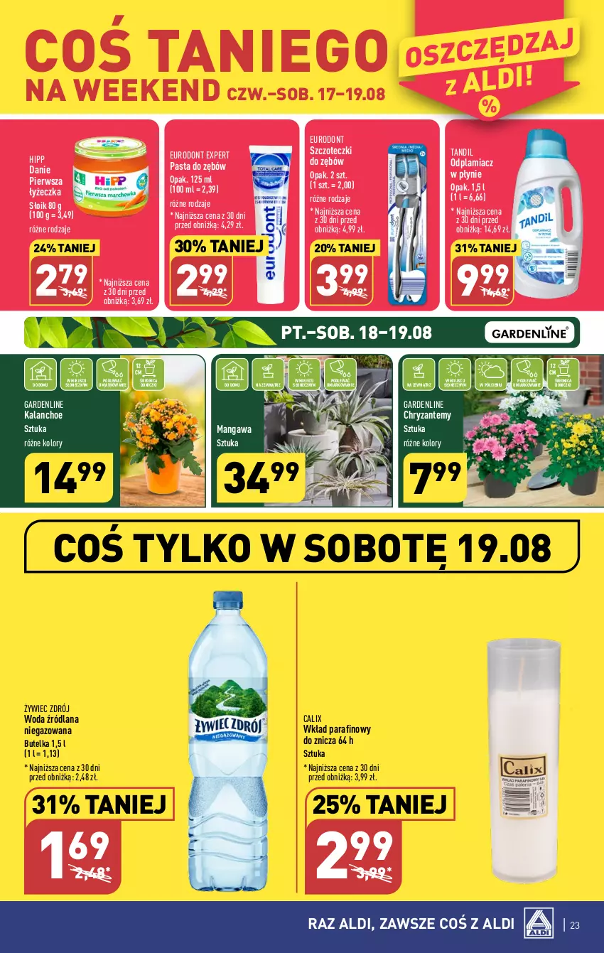 Gazetka promocyjna Aldi - Pełna oferta - ważna 07.08 do 12.08.2023 - strona 23 - produkty: HiPP, Kalanchoe, LANA, Odplamiacz, Pasta do zębów, Woda, Znicz