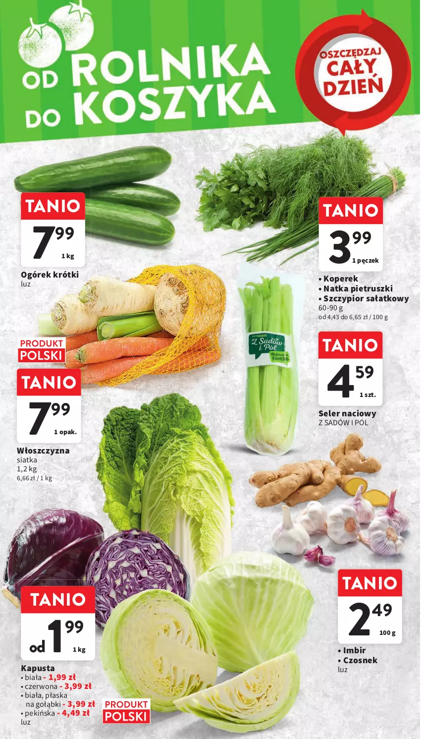 Gazetka promocyjna Intermarche - Gazetka Intermarche - ważna 23.11 do 29.11.2023 - strona 26 - produkty: Czosnek, Imbir, Natka pietruszki, Ogórek, Sałat, Seler naciowy, Siatka