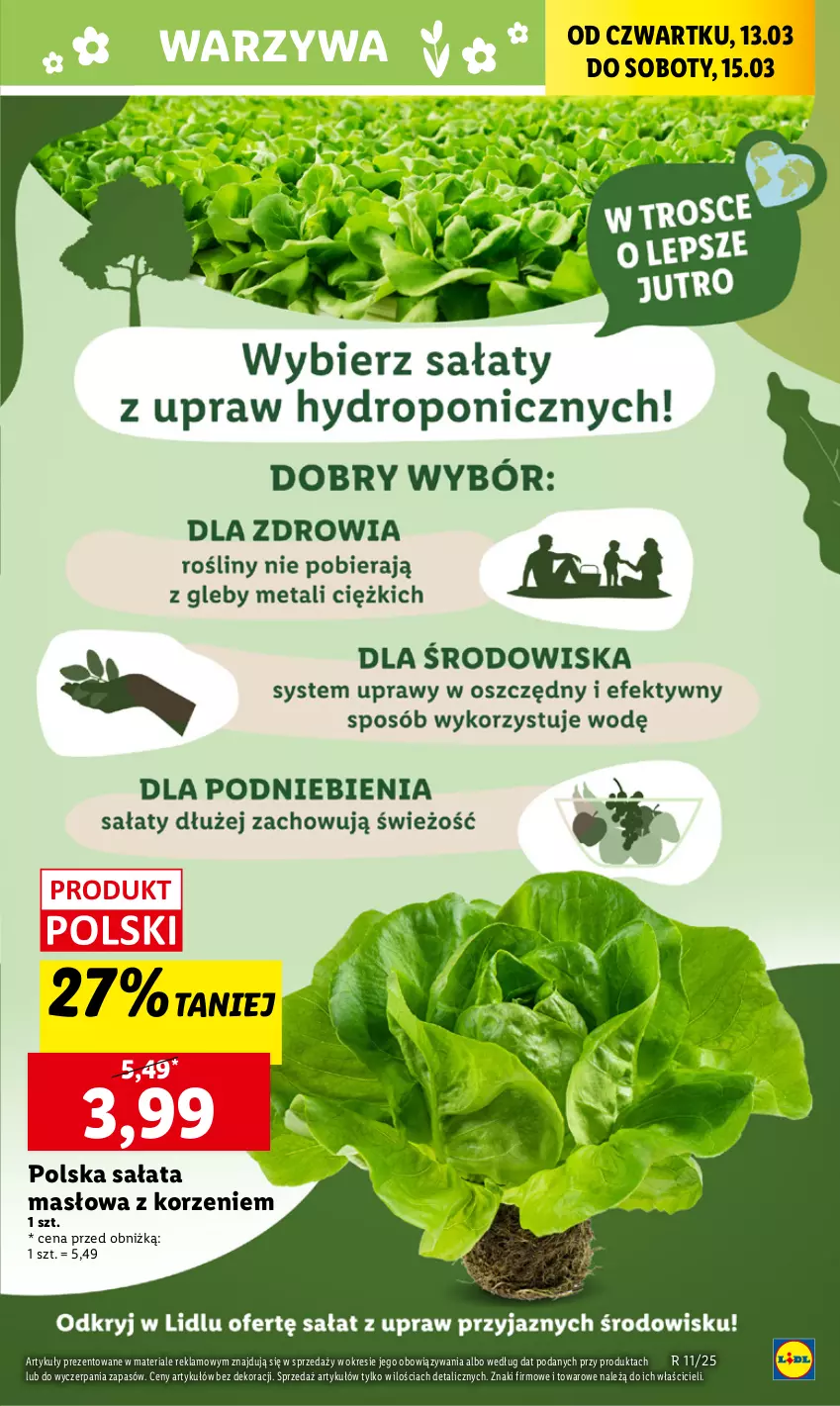 Gazetka promocyjna Lidl - GAZETKA - ważna 13.03 do 15.03.2025 - strona 21 - produkty: Masło, Sałat, Sałata masłowa, Warzywa