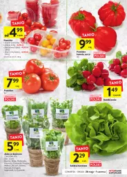 Gazetka promocyjna Intermarche - Dzien matki - Gazetka - ważna od 01.06 do 01.06.2022 - strona 17 - produkty: Ser, Sałata masłowa, Pietruszka, Kolendra, Zioła w doniczce, Sałat, Bazyl, Bazylia, Masło, Rzodkiewka, Mięta