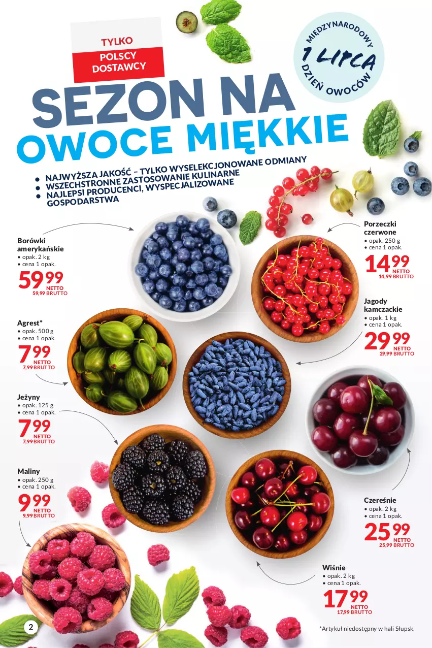 Gazetka promocyjna Makro - [Oferta promocyjna] Artykuły spożywcze i przemysłowe - ważna 28.06 do 11.07.2022 - strona 2 - produkty: Gres, Jagody, Jeżyny, Maliny, Por, Porzeczki czerwone