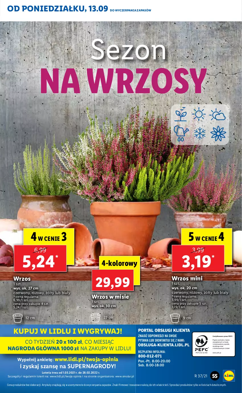 Gazetka promocyjna Lidl - GAZETKA - ważna 13.09 do 15.09.2021 - strona 55 - produkty: Gry, Mola