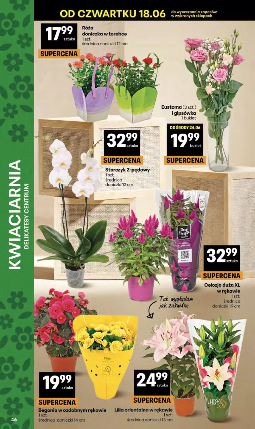 Gazetka promocyjna Delikatesy Centrum - Franczyza DC25 Czwartek - ważna 18.06 do 24.06.2026 - strona 46 - produkty: Bukiet, Puf, Róża, Storczyk