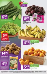 Gazetka promocyjna Stokrotka - Stokrotka Express - Gazetka - ważna od 22.10 do 22.10.2025 - strona 2 - produkty: Banany, Warzywa, Pomarańcze, Winogrona, Buraki, Owoce, Wino, Mięso