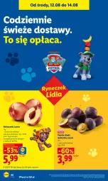 Gazetka promocyjna Lidl - Gazetka ważna od 12.08 do 14.08 - Gazetka - ważna od 14.08 do 14.08.2026 - strona 48 - produkty: Ser, Nektar