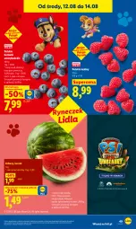 Gazetka promocyjna Lidl - Gazetka ważna od 12.08 do 14.08 - Gazetka - ważna od 14.08 do 14.08.2026 - strona 49 - produkty: Ser, Gra, Maliny, Arbuz, Olej