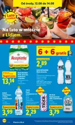 Gazetka promocyjna Lidl - Gazetka ważna od 12.08 do 14.08 - Gazetka - ważna od 14.08 do 14.08.2026 - strona 68 - produkty: Nałęczowianka, Mus, Gra, Tiger, Muszynianka, Napój gazowany, Woda mineralna, Kubuś, Woda, Napój, Magnez