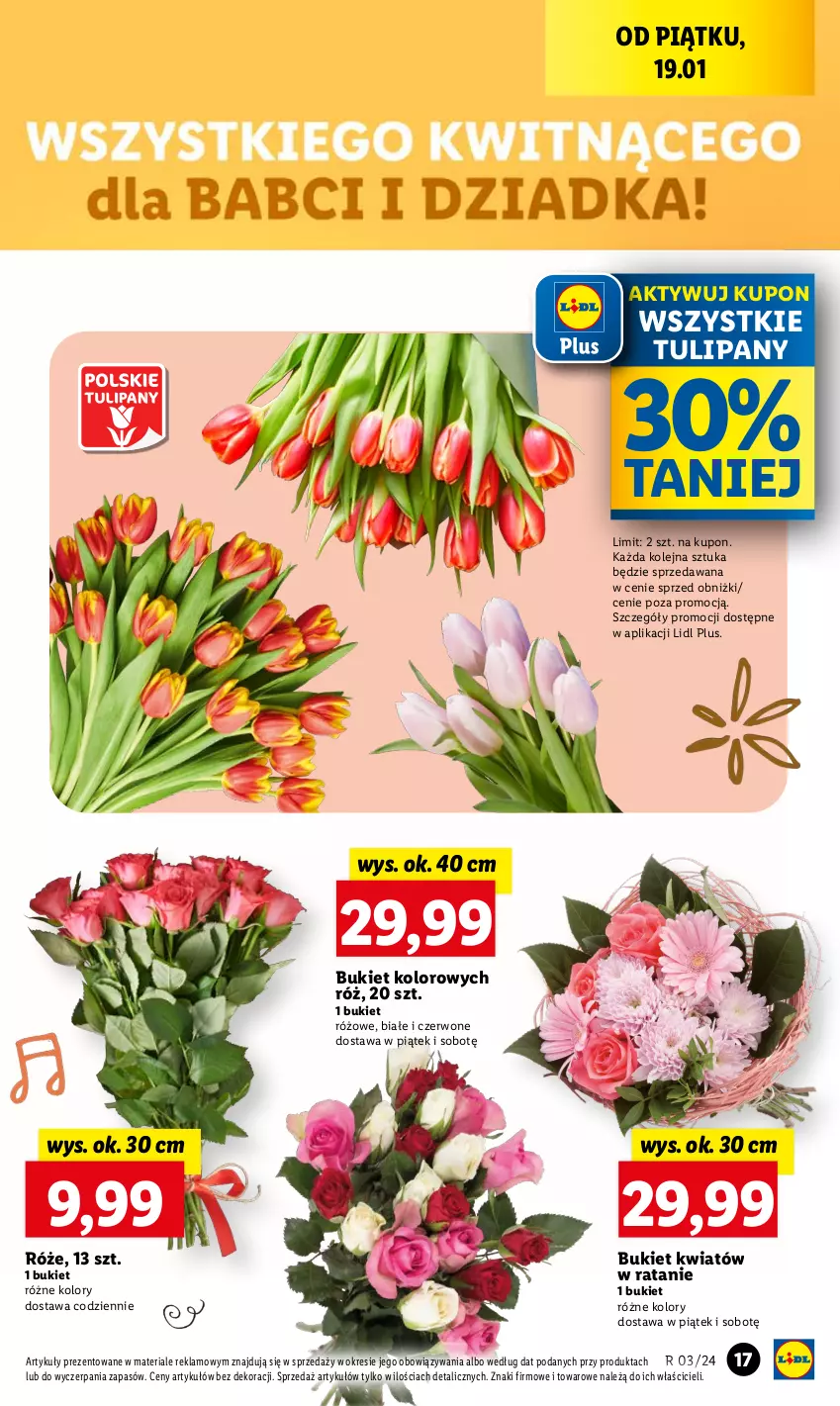 Gazetka promocyjna Lidl - GAZETKA - ważna 18.01 do 20.01.2024 - strona 19 - produkty: Bukiet, Olej, Tulipan