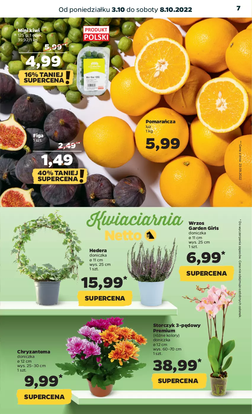 Gazetka promocyjna Netto - Artykuły spożywcze - ważna 03.10 do 08.10.2022 - strona 7 - produkty: Chryzantema, Kiwi, Storczyk