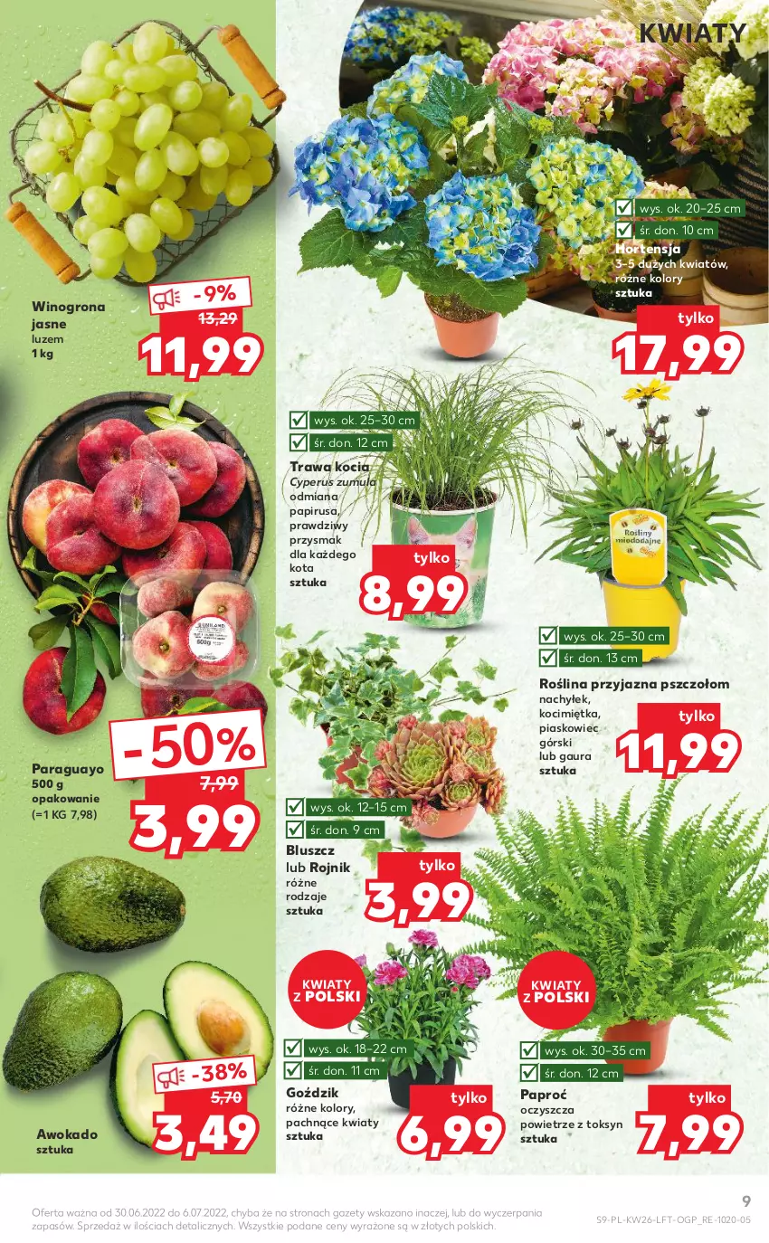 Gazetka promocyjna Kaufland - OFERTA TYGODNIA - ważna 30.06 do 06.07.2022 - strona 9 - produkty: Koc, Wino, Winogrona