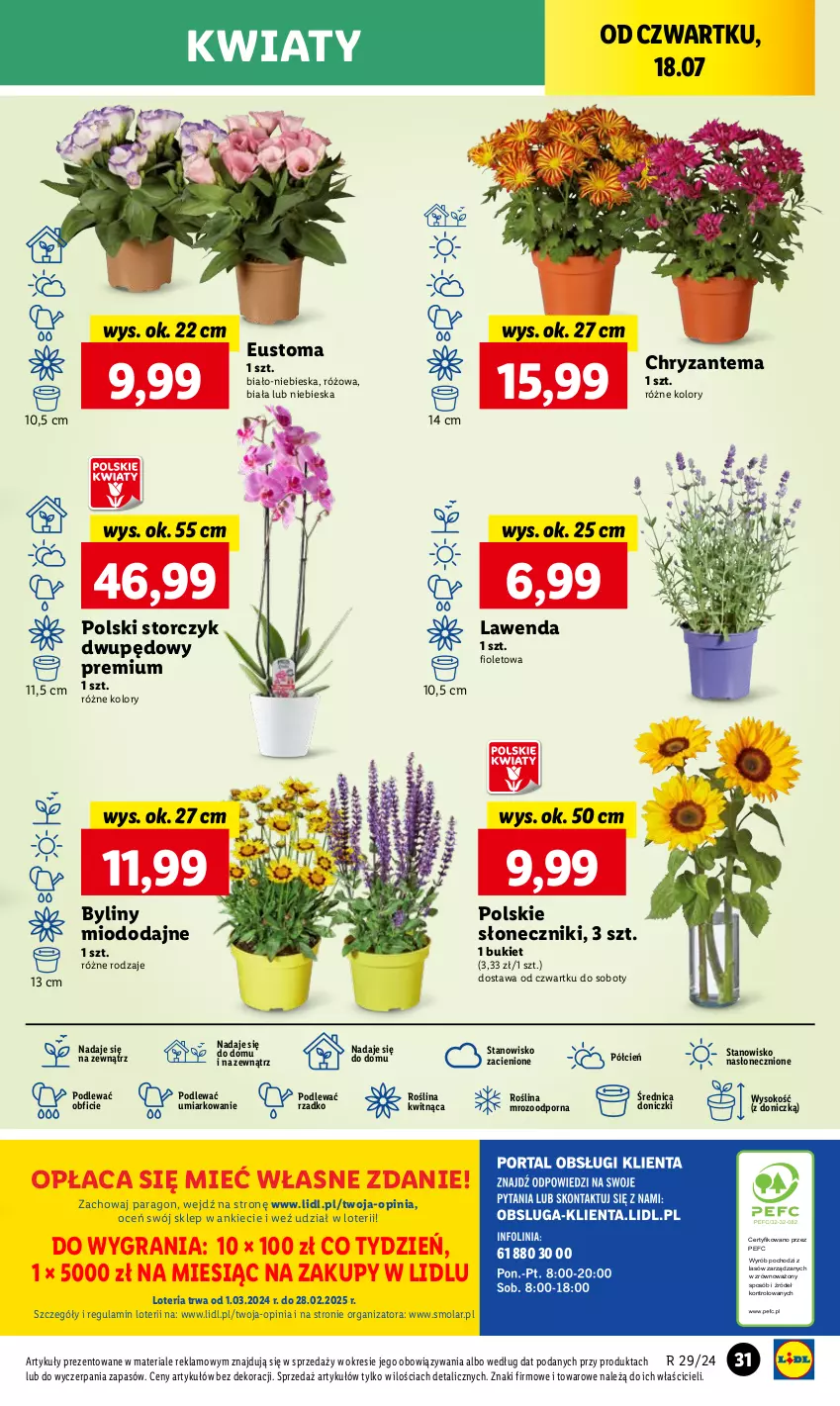 Gazetka promocyjna Lidl - GAZETKA - ważna 18.07 do 20.07.2024 - strona 42 - produkty: Bukiet, Chryzantema, Cień, Gra, Mola, O nas, Por, Sok, Storczyk