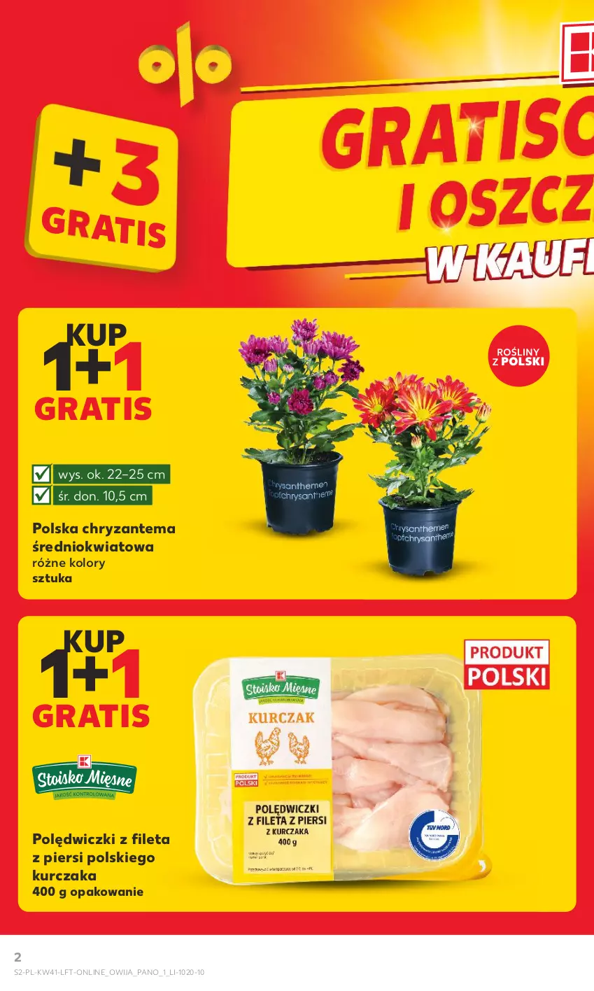 Gazetka promocyjna Kaufland - Gazetka tygodnia - ważna 12.10 do 18.10.2023 - strona 2 - produkty: Chryzantema, Gra, Kurczak