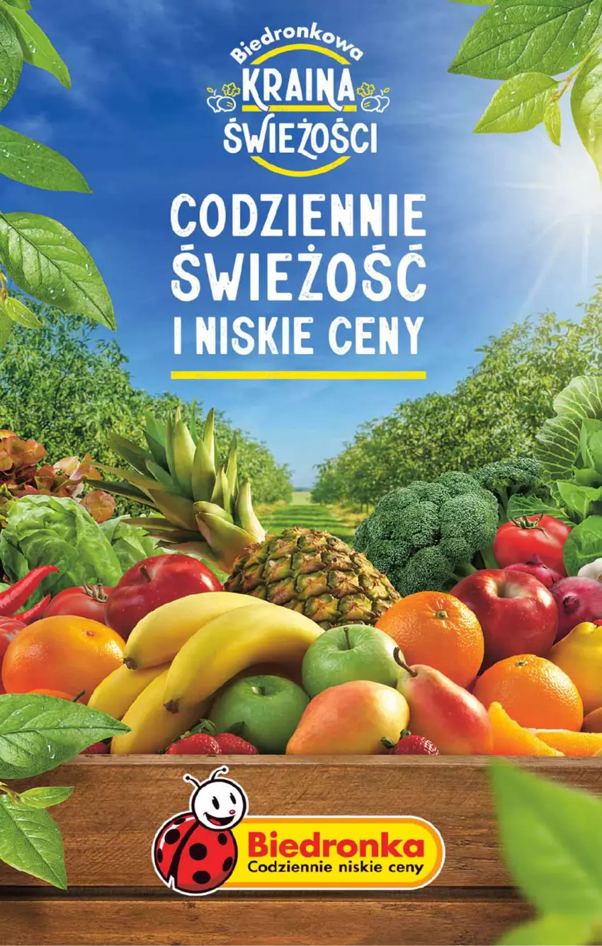 Gazetka promocyjna Biedronka - Od poniedzialku - ważna 21.08 do 26.08.2023 - strona 54