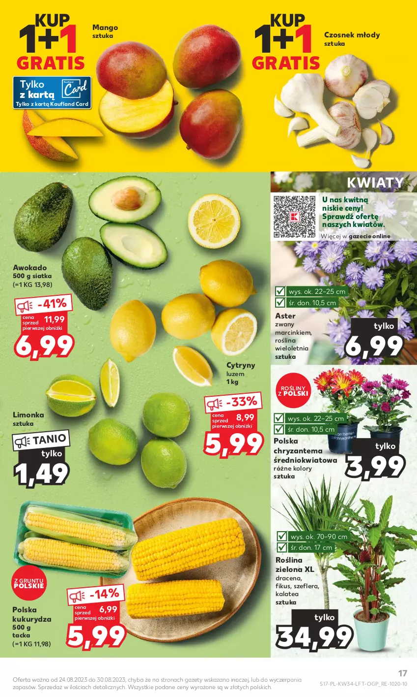 Gazetka promocyjna Kaufland - Gazetka tygodnia - ważna 24.08 do 30.08.2023 - strona 17 - produkty: Chryzantema, Cytryny, Czosnek, Gra, Grunt, Kukurydza, Limonka, Mango, Siatka