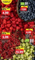 Gazetka promocyjna Lidl - GAZETKA - Gazetka - ważna od 15.07 do 15.07.2023 - strona 24 - produkty: Por, Porzeczki czerwone, Maliny, Gres