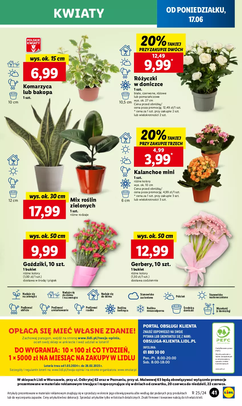 Gazetka promocyjna Lidl - GAZETKA - ważna 17.06 do 19.06.2024 - strona 43 - produkty: Bukiet, Cień, Gerber, Gra, Kalanchoe, Mola, O nas, Por, Sok