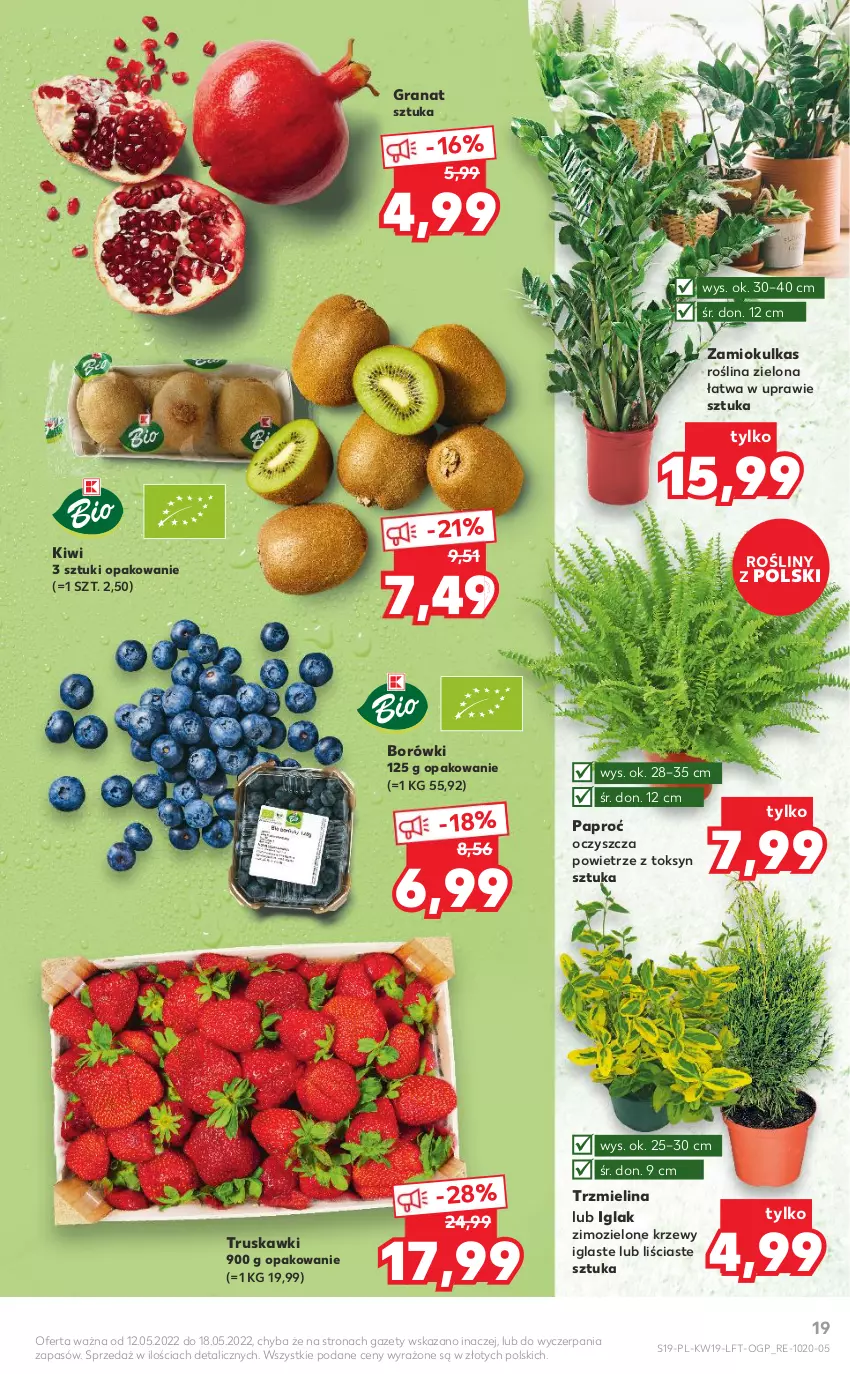 Gazetka promocyjna Kaufland - OFERTA TYGODNIA - ważna 12.05 do 18.05.2022 - strona 19 - produkty: Gra, Granat, Kiwi, Truskawki