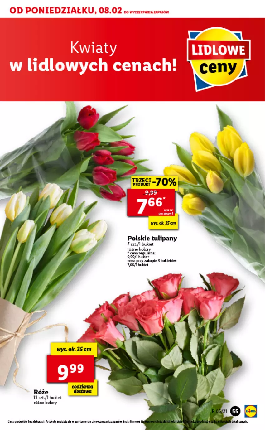 Gazetka promocyjna Lidl - GAZETKA - ważna 08.02 do 10.02.2021 - strona 55