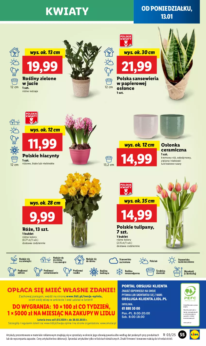 Gazetka promocyjna Lidl - GAZETKA - ważna 13.01 do 15.01.2025 - strona 61 - produkty: Bukiet, Cień, Gra, Hiacynt, Mola, O nas, Osłonka, Papier, Por, Sok, Tulipan