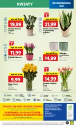 Gazetka promocyjna Lidl - GAZETKA - Gazetka - ważna od 15.01 do 15.01.2025 - strona 61 - produkty: Sok, Por, Gra, Hiacynt, Papier, Tulipan, Cień, O nas, Mola, Bukiet, Osłonka