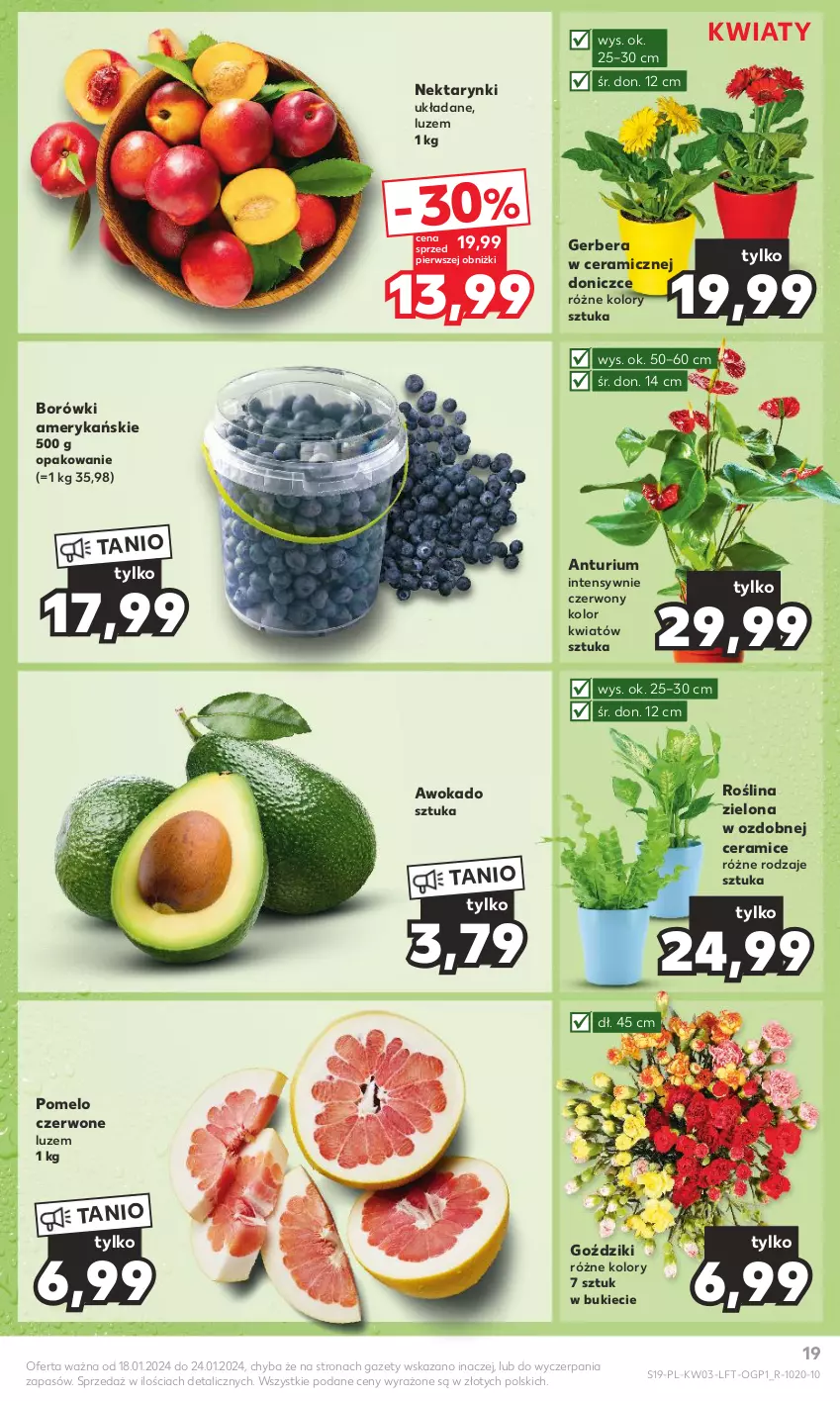 Gazetka promocyjna Kaufland - Gazetka tygodnia - ważna 18.01 do 24.01.2024 - strona 19 - produkty: Gerber, Nektar, Pomelo