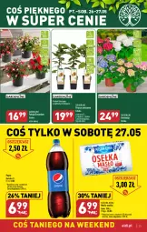 Gazetka promocyjna Aldi - Pełen katalog - Gazetka - ważna od 27.05 do 27.05.2023 - strona 23 - produkty: Sok, Mleczna Rzeka, Kiwi, Pepsi, Winogrona, Wino, Masło