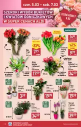 Gazetka promocyjna Aldi - Oferta weekendowa - Gazetka - ważna od 07.03 do 07.03.2026 - strona 6 - produkty: Hiacynt, Tulipan, Storczyk, Bukiet, Narcyz