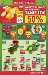 Gazetka promocyjna Aldi - Oferta weekendowa - Gazetka - ważna od 07.03 do 07.03.2026 - strona 7 - produkty: Warzywa, Por, Hibiskus, Warzywa i owoce, Kiwi, Ziemniaki, Bukiet, Owoce, Alcon, Jabłka