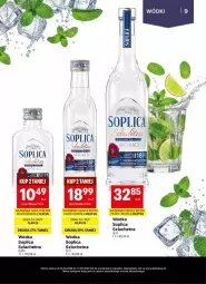 Gazetka promocyjna Delikatesy Centrum - Delibarek DC18-DC19 - Gazetka - ważna od 13.05 do 13.05.2026 - strona 9 - produkty: Rama, Soplica, Wódka