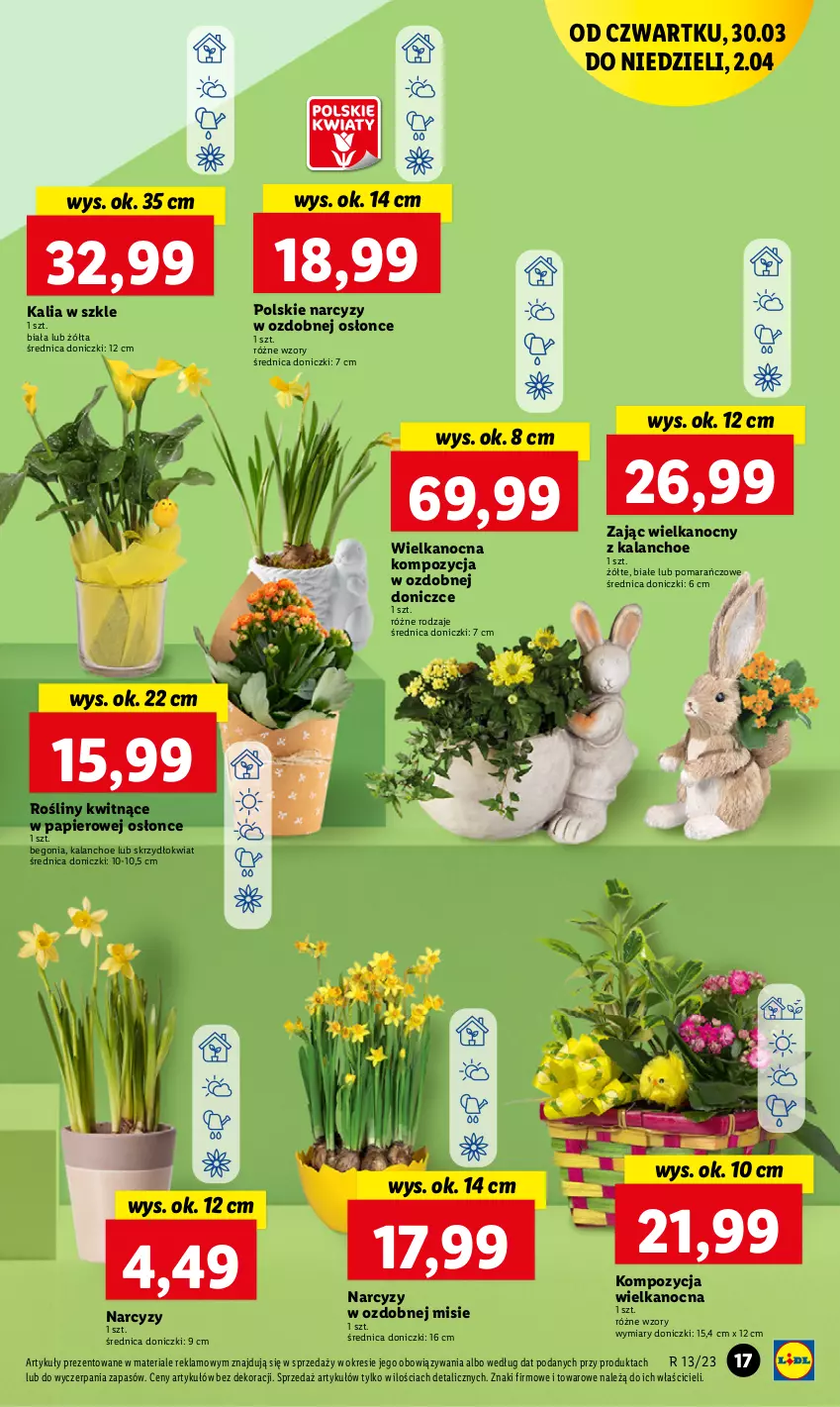 Gazetka promocyjna Lidl - GAZETKA - ważna 30.03 do 02.04.2023 - strona 17 - produkty: Kalanchoe, Narcyz, Papier